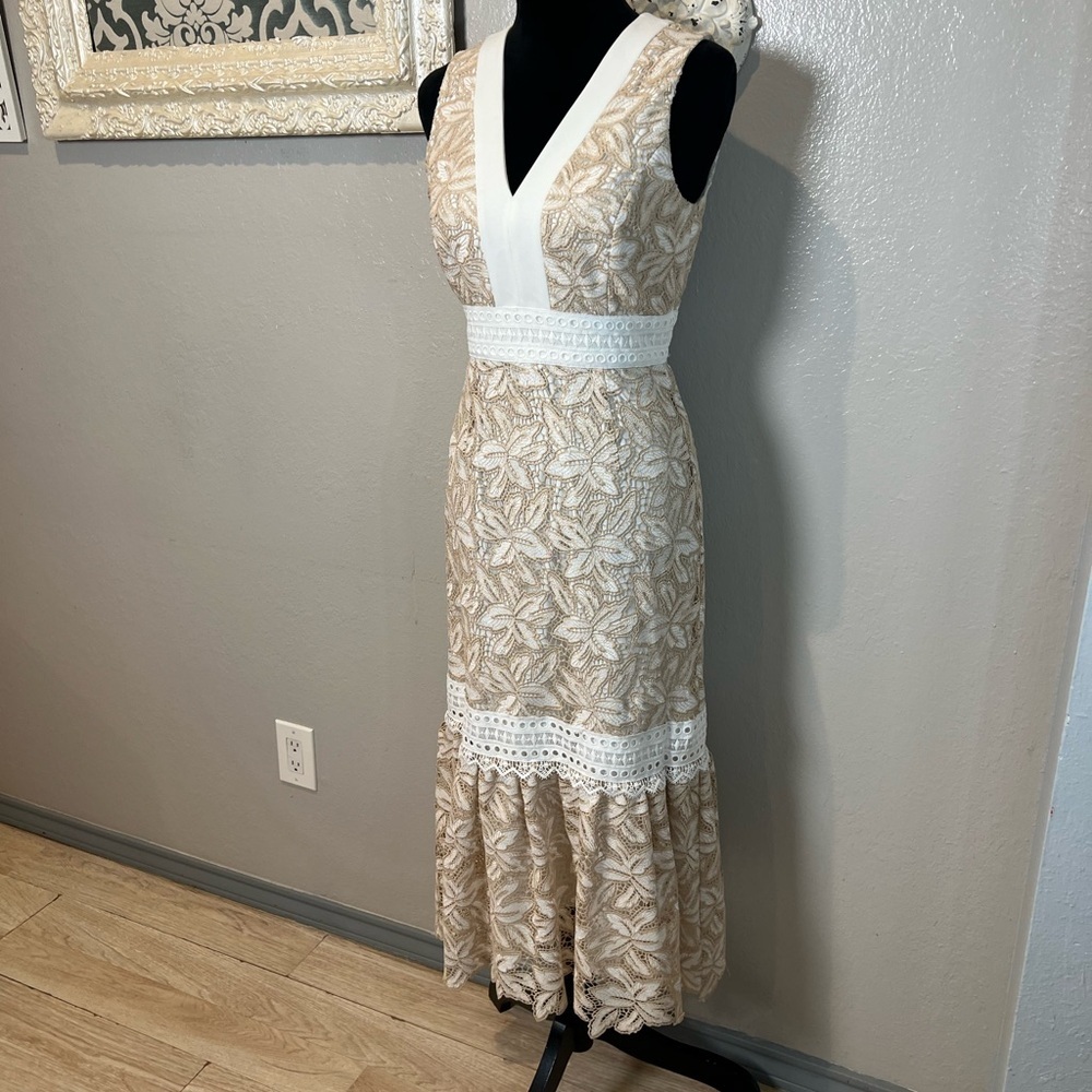 ANTONIO MELANI Beige and White Lace Maxi Dress - Picture 4 of 11